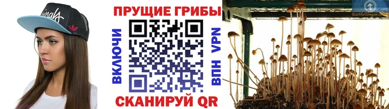 Галлюциногенные грибы Magic Shrooms Павловский Посад