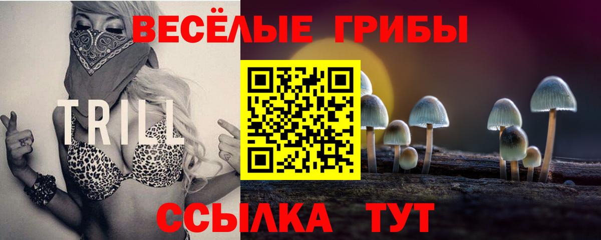 Псилоцибиновые грибы мицелий Павловский Посад