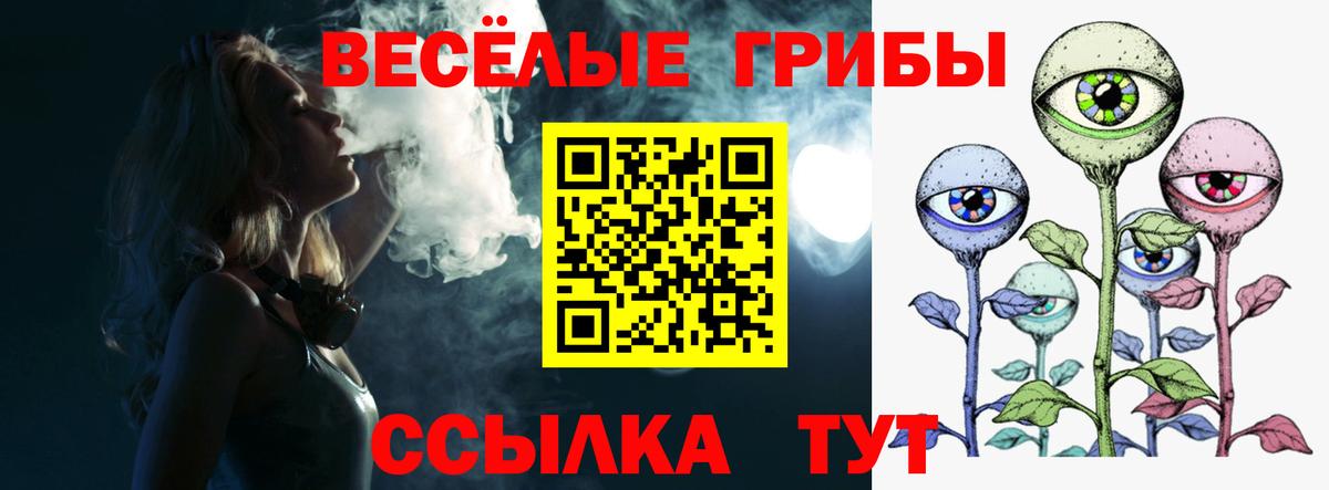 Павловский Посад  Псилоцибиновые грибы Psilocybe  Вход с VPN 